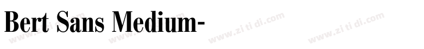 Bert Sans Medium字体转换
